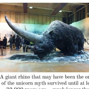 Meet your Posher, Antone